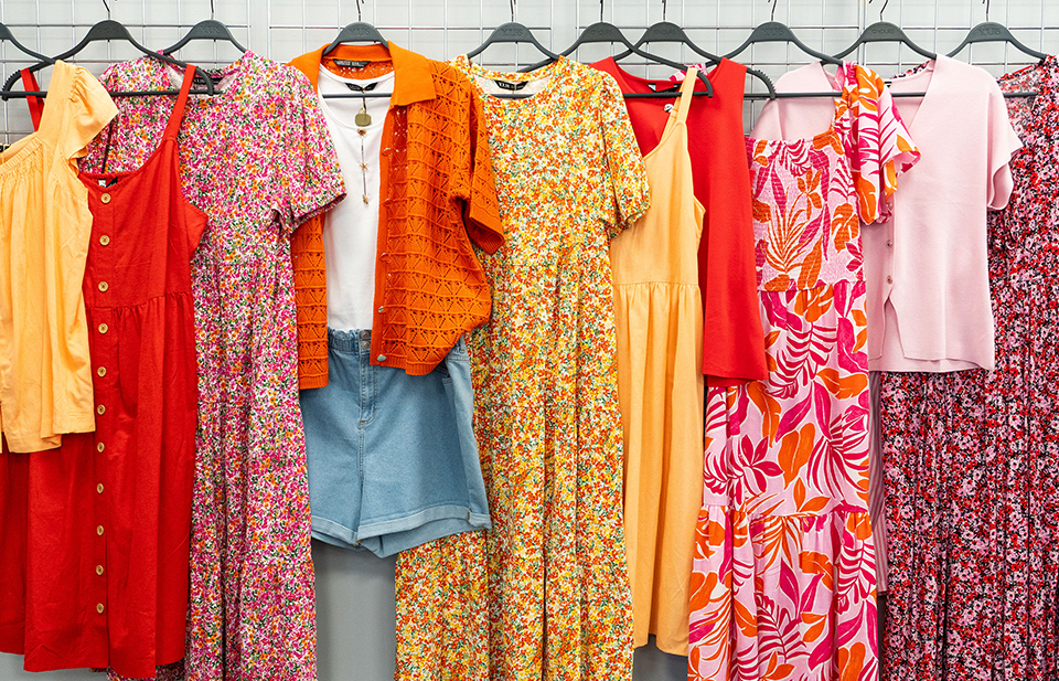 Zomerse Kleuren