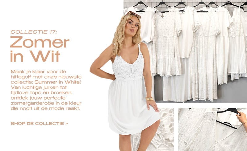 Collectie 17